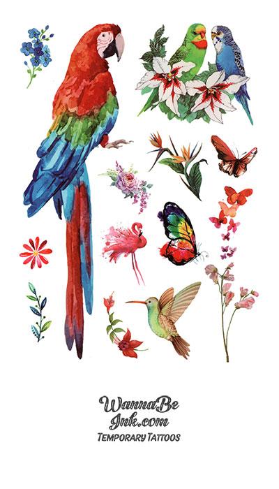 Red Parrot Macaw Hummingbird and Flower Blossoms