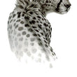 Load image into Gallery viewer, Black and White Cheetah Best Temporary Tattoos
