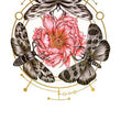 Load image into Gallery viewer, Deathshead Moths around Red Rose Best Temporary Tattoos
