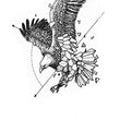 Load image into Gallery viewer, Glassed Eagle Best Temporary Tattoos
