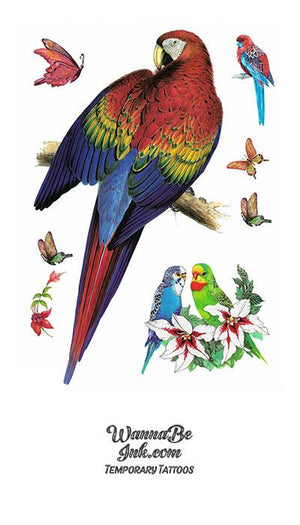 Lots of Parrots Best Temporary Tattoos