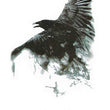 Load image into Gallery viewer, Melting Black Raven Best Temporary Tattoos
