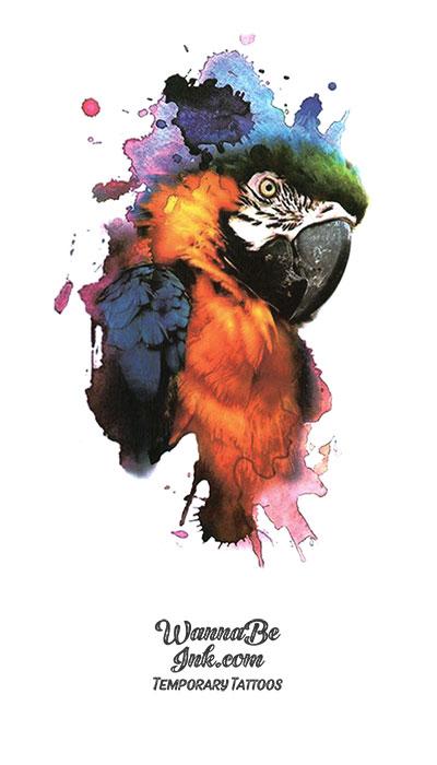 Parrot in Watercolors Best Temporary Tattoos