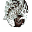 Load image into Gallery viewer, Semi Invisible Koi In Seashell Pattern Best Temporary Tattoos
