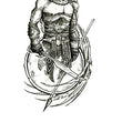 Load image into Gallery viewer, Spartan Warrior With Weapons Best Temporary Tattoos
