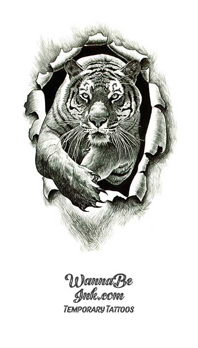 Tiger Crawling Through Hole Best Temporary Tattoos