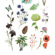 Load image into Gallery viewer, Wildflowers Blue Butterfly and Pine Cone Best Temporary Tattoos
