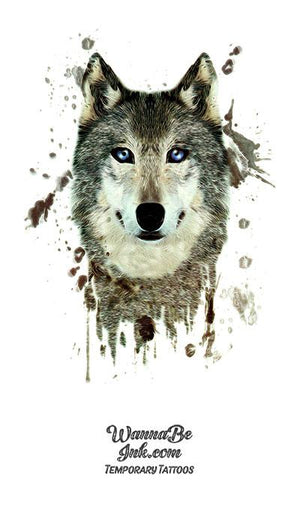 Wolf With Blue Eyes Best Temporary Tattoos